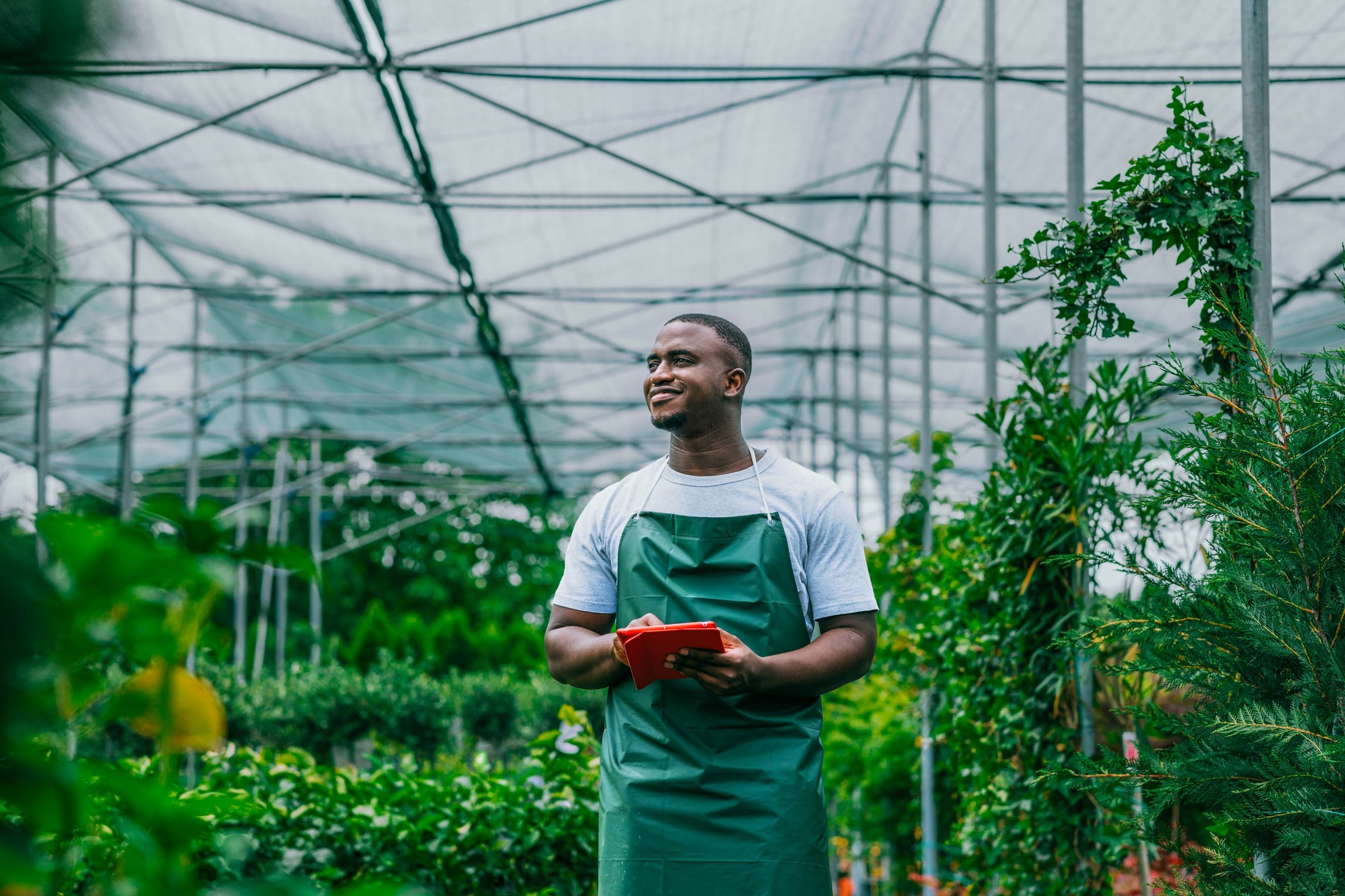 Mutual funds overview | Transamerica